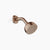 Dornbracht 28508404 Coya Showerhead