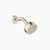 Dornbracht 28508404 Coya Showerhead