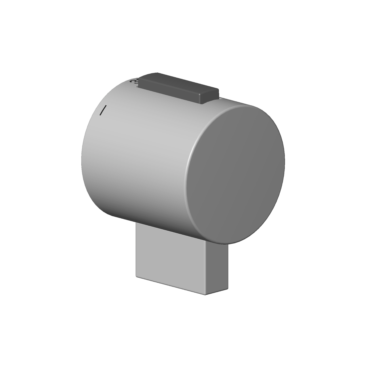 Dornbracht 90173302500 Handle Ø 46 MM