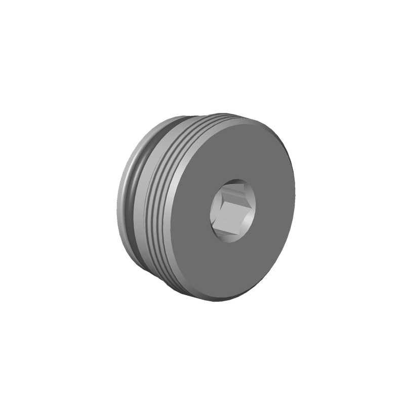 Dornbracht 9031201310090 Plug D36 X 16 Mm