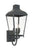 Crystorama DUM-9802-GE Dumont 3 Light Outdoor Wall Mount - Graphite