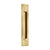 Emtek 220310 Brass Modern Rectangular Flush Pull 10"