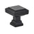 Emtek Geometric Square Knob