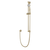 Artos F907-93 Classic Multifunction Flexible Hose Slide Bar Kit with Separate Water Outlet