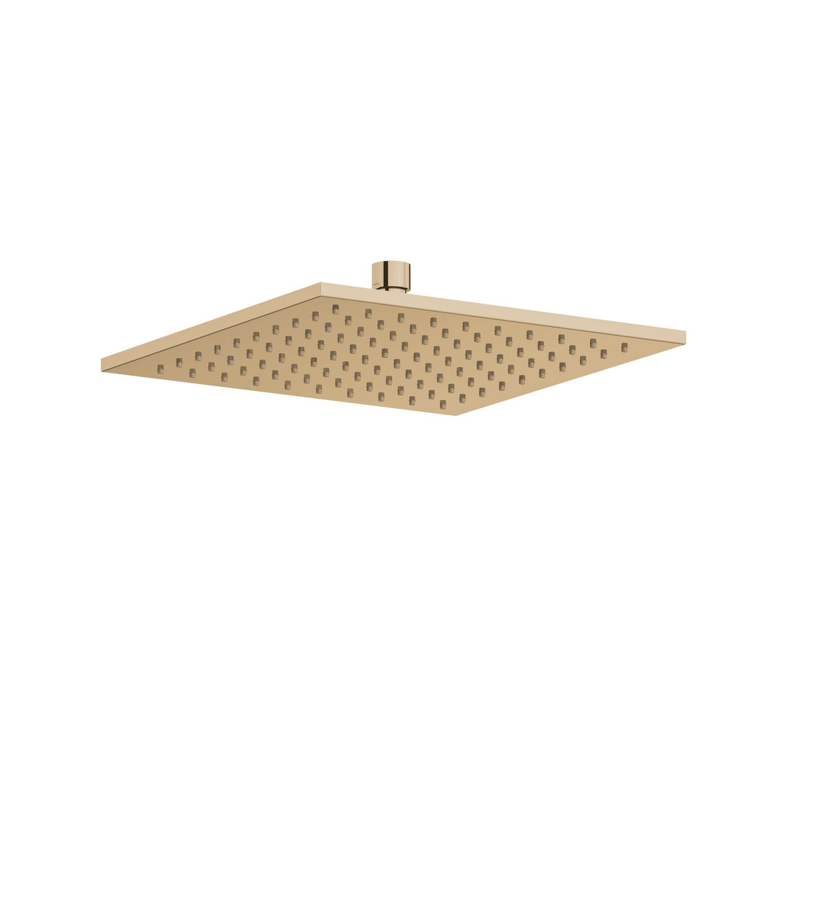 Franz Viegener Moonshower Square Showerhead