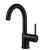 Houzer GABA-4000 Gal Bar Faucet with High Rotating Spout