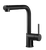 Houzer GAPO-2000 Gal Dual Function Pull Out Kitchen Faucet