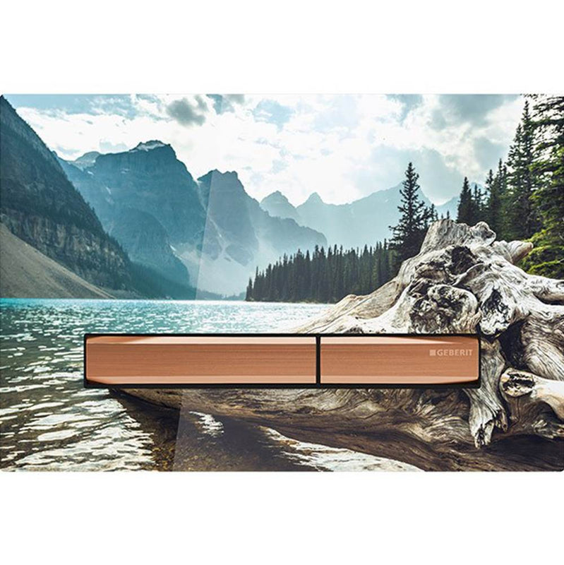 Geberit 115-670 Actuator Plate Sigma50 For Dual Flush - Parent