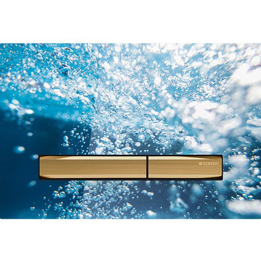 Geberit 115-672 Actuator Plate Sigma50 For Dual Flush - Parent