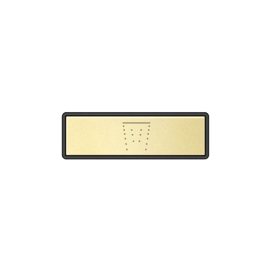 Gessi 02767 Hi Fi Push-Botton Plate With Waterfall Symbol. For Linear & Shelf Hi-Fi.