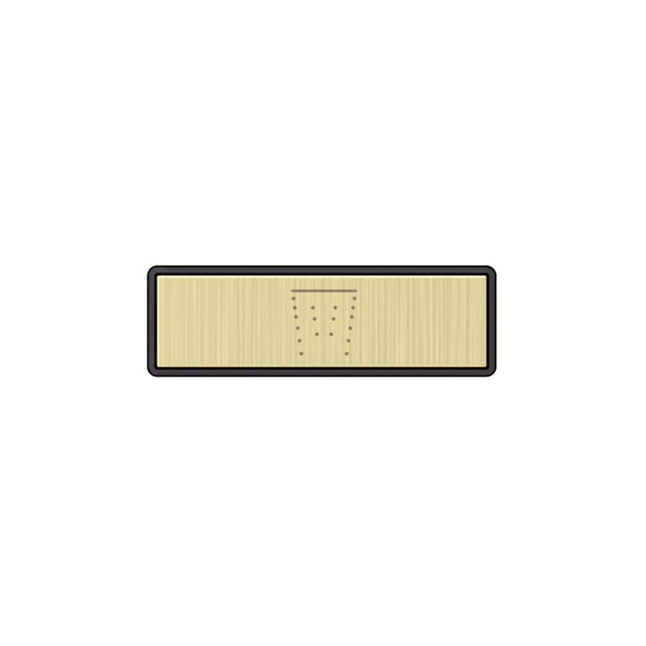 Gessi 02767 Hi Fi Push-Botton Plate With Waterfall Symbol. For Linear & Shelf Hi-Fi.