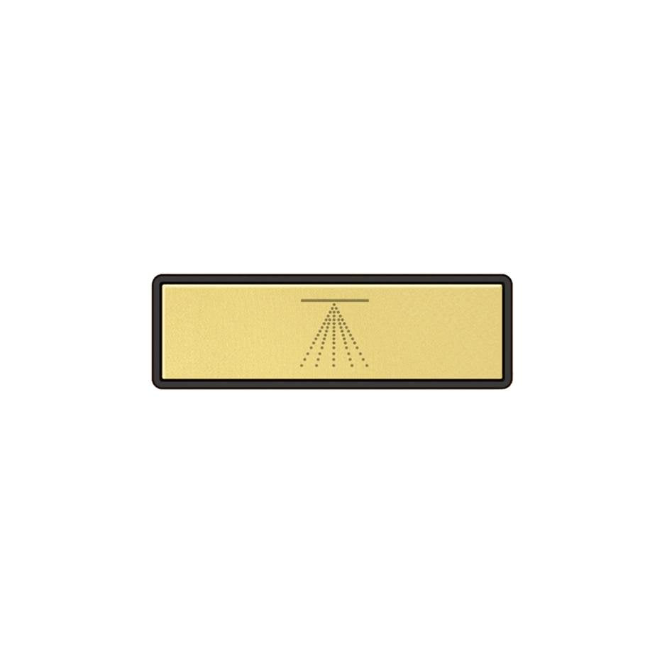 Gessi 02768 Hi Fi Push-Botton Plate With Atomizer Symbol. For Linear & Shelf Hi-Fi.
