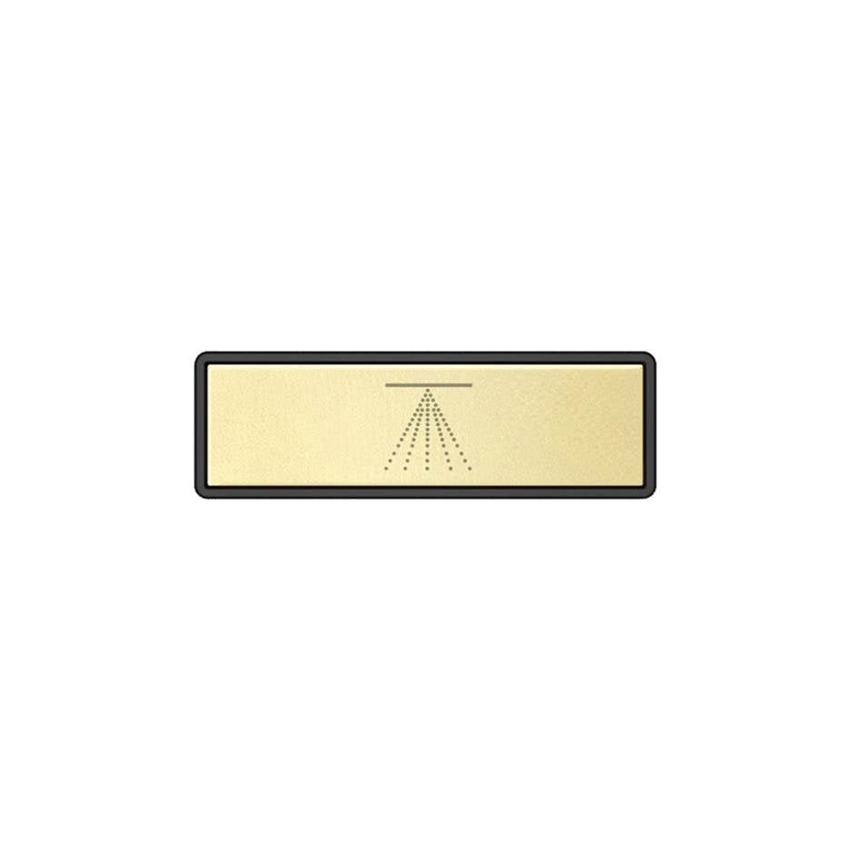 Gessi 02768 Hi Fi Push-Botton Plate With Atomizer Symbol. For Linear & Shelf Hi-Fi.