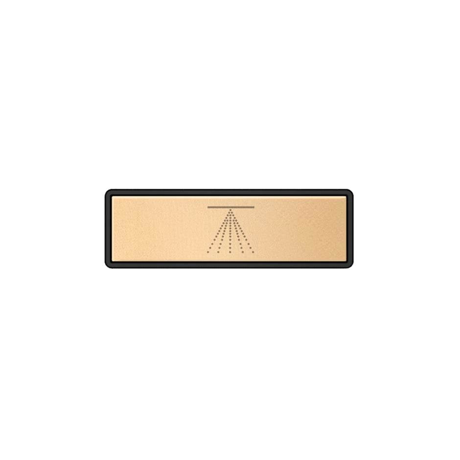 Gessi 02768 Hi Fi Push-Botton Plate With Atomizer Symbol. For Linear & Shelf Hi-Fi.