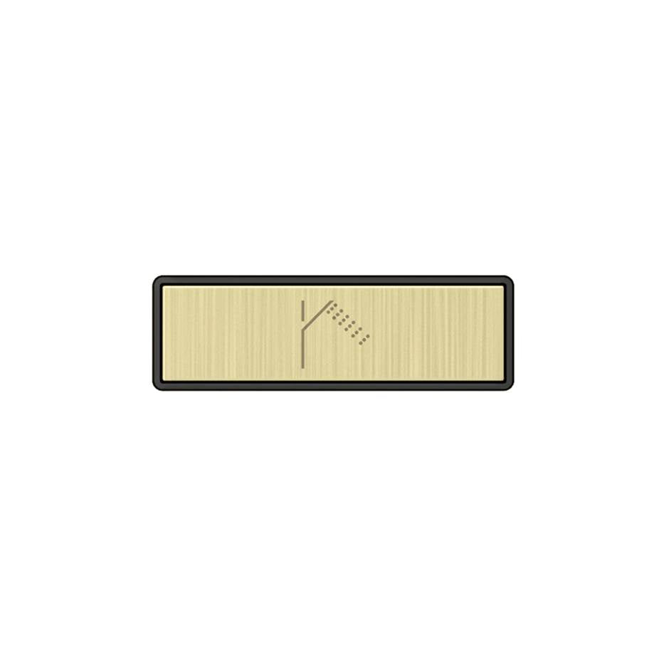 Gessi 02769 Hi Fi Push-Botton Plate With Handshower Symbol. For Linear & Shelf Hi-Fi.