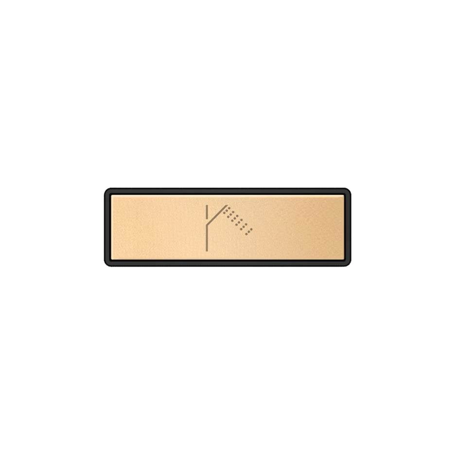 Gessi 02769 Hi Fi Push-Botton Plate With Handshower Symbol. For Linear & Shelf Hi-Fi.