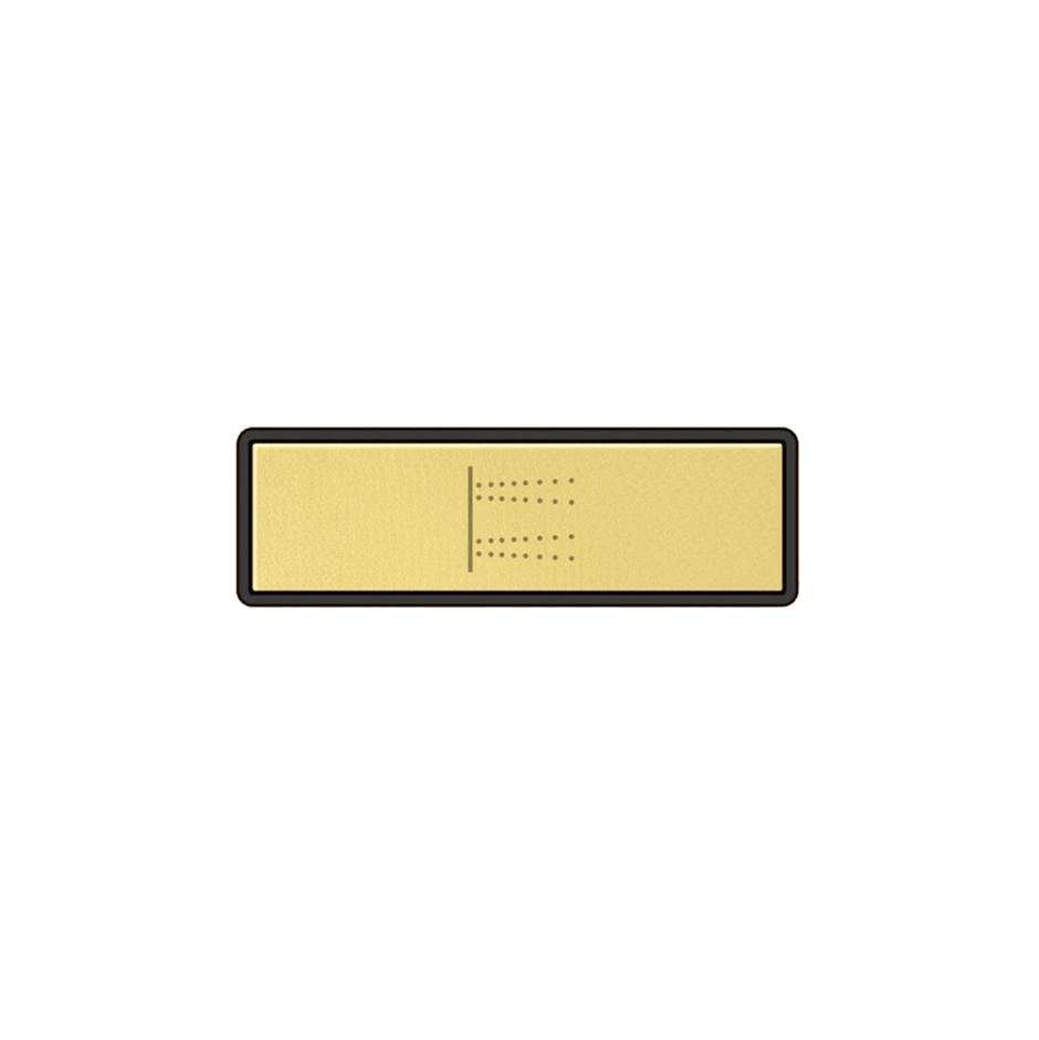 Gessi 02770 Hi Fi Push-Botton Plate With Body Jets Symbol. For Linear & Shelf Hi-Fi.