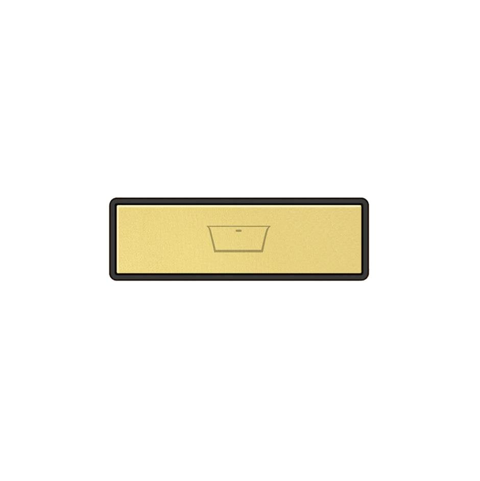 Gessi 02771 Hi Fi Push-Botton Plate With Bathtub Symbol. For Linear & Shelf Hi-Fi.