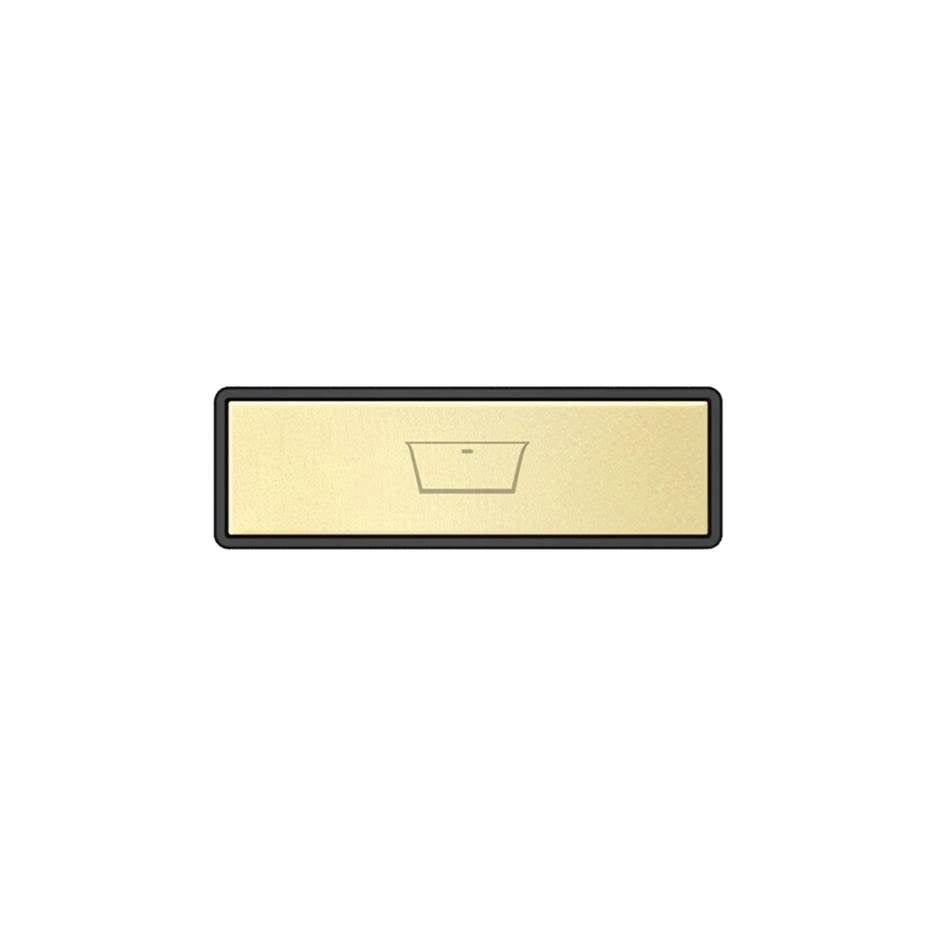 Gessi 02771 Hi Fi Push-Botton Plate With Bathtub Symbol. For Linear & Shelf Hi-Fi.