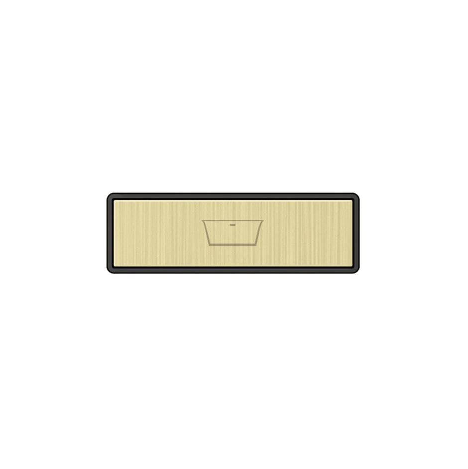 Gessi 02771 Hi Fi Push-Botton Plate With Bathtub Symbol. For Linear & Shelf Hi-Fi.