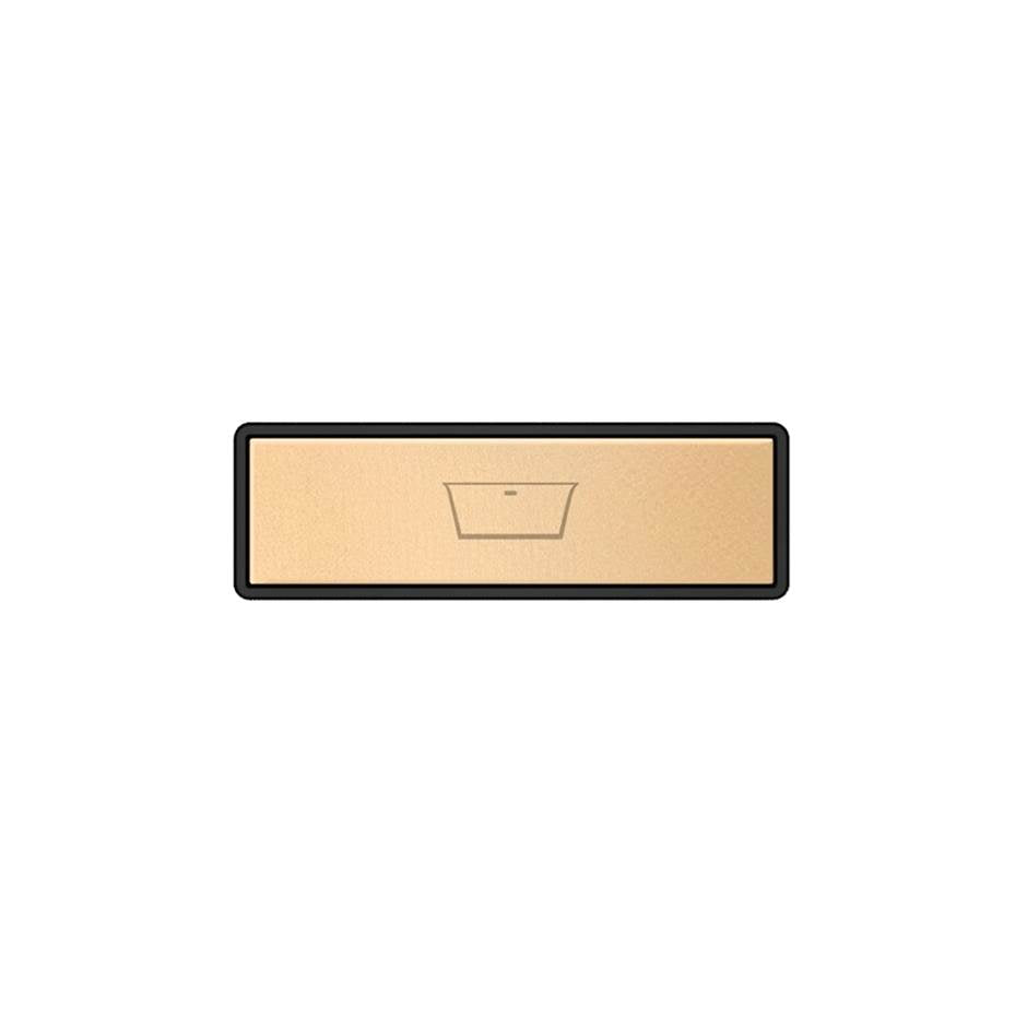 Gessi 02771 Hi Fi Push-Botton Plate With Bathtub Symbol. For Linear & Shelf Hi-Fi.