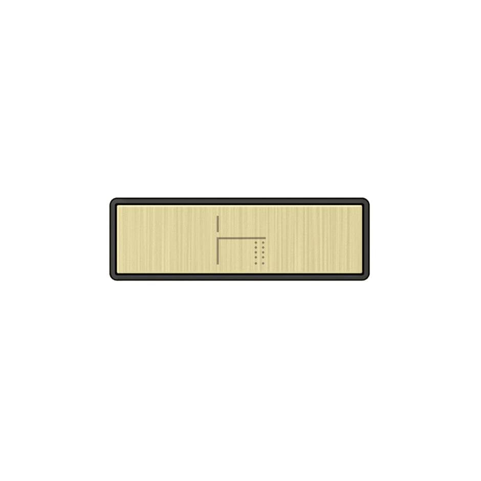 Gessi 02772 Hi Fi Push-Botton Plate With Foot Spout Symbol. For Linear & Shelf Hi-Fi.