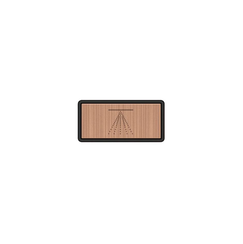 Gessi 02776 Hi Fi Push-Botton Plate With Atomizer Symbol.