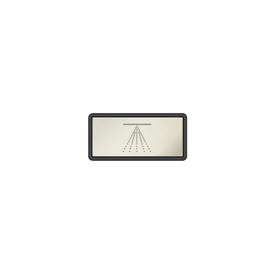 Gessi 02776 Hi Fi Push-Botton Plate With Atomizer Symbol.