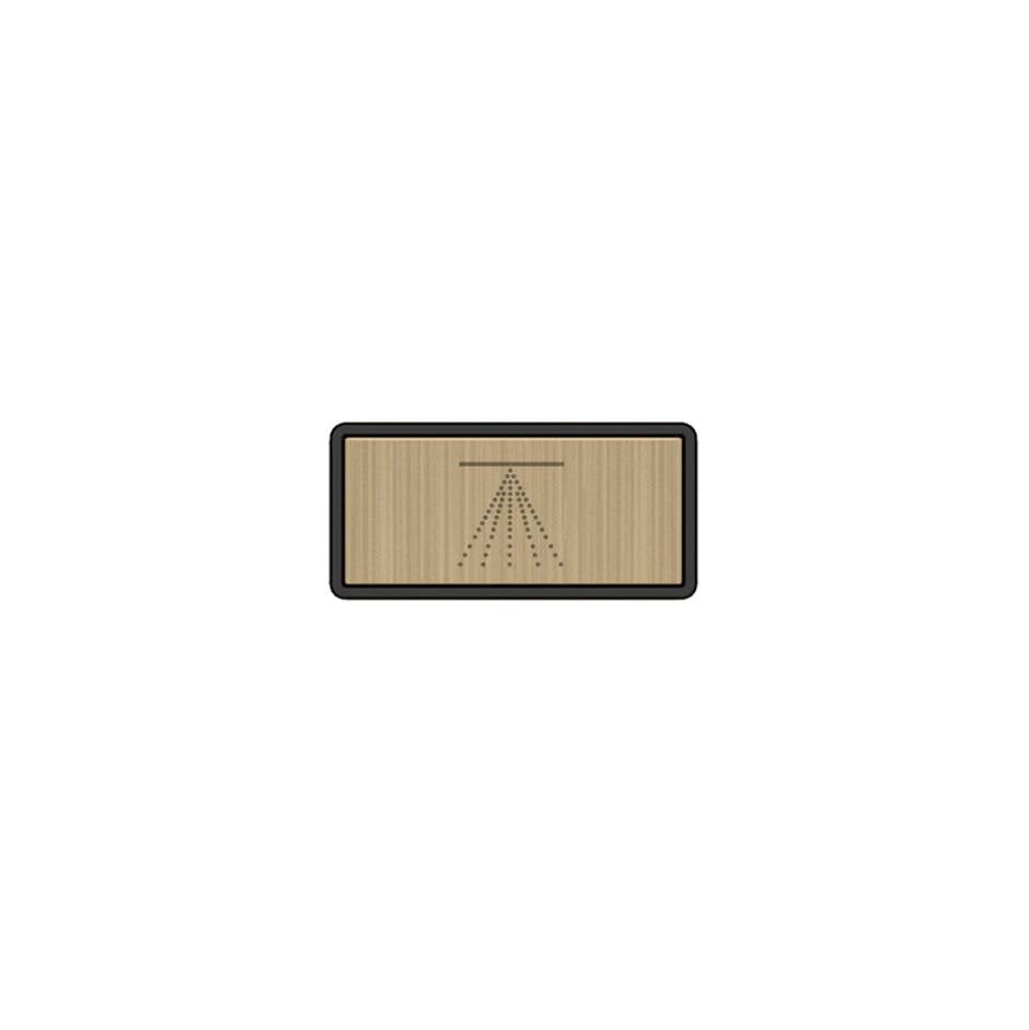 Gessi 02776 Hi Fi Push-Botton Plate With Atomizer Symbol.