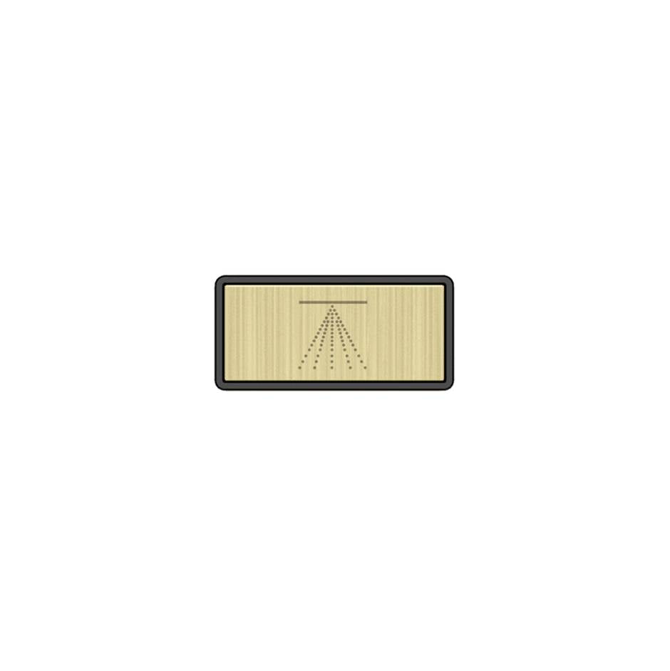 Gessi 02776 Hi Fi Push-Botton Plate With Atomizer Symbol.