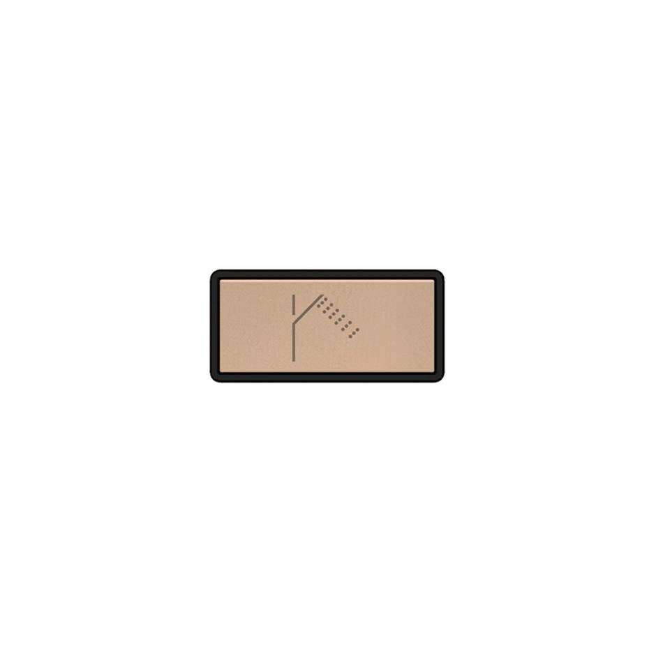 Gessi 02777 Hi Fi Push-Botton Plate With Handshower Symbol. - Parent