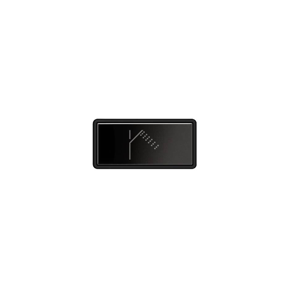 Gessi 02777 Hi Fi Push-Botton Plate With Handshower Symbol.