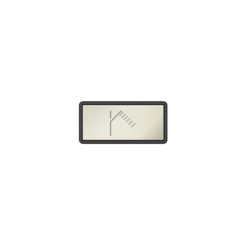 Gessi 02777 Hi Fi Push-Botton Plate With Handshower Symbol.