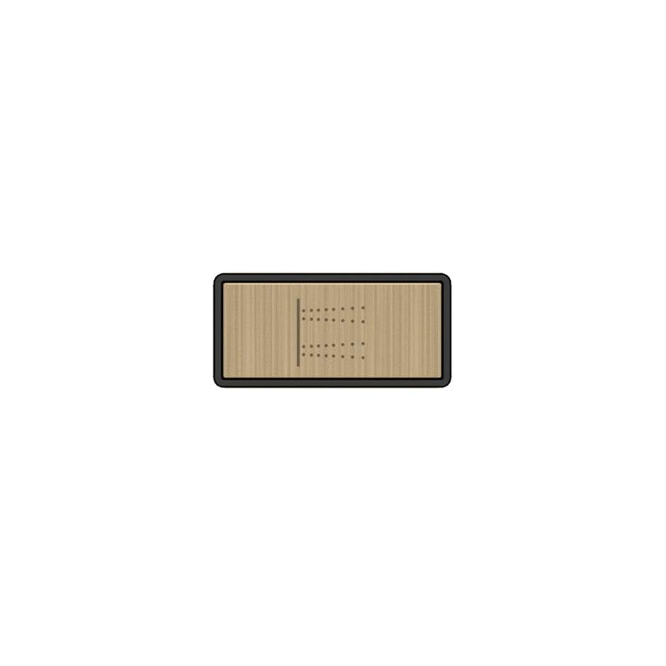 Gessi 02778 Hi Fi Push-Botton Plate With Body Jets Symbol.