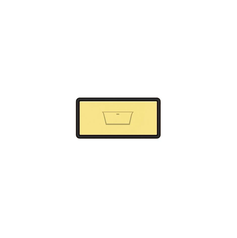 Gessi 02779 Hi Fi Push-Botton Plate With Bathtub Symbol.