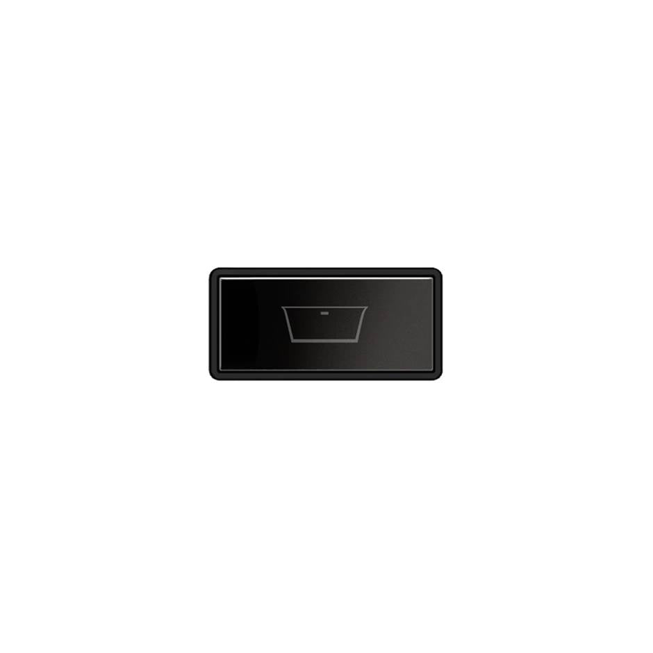 Gessi 02779 Hi Fi Push-Botton Plate With Bathtub Symbol.