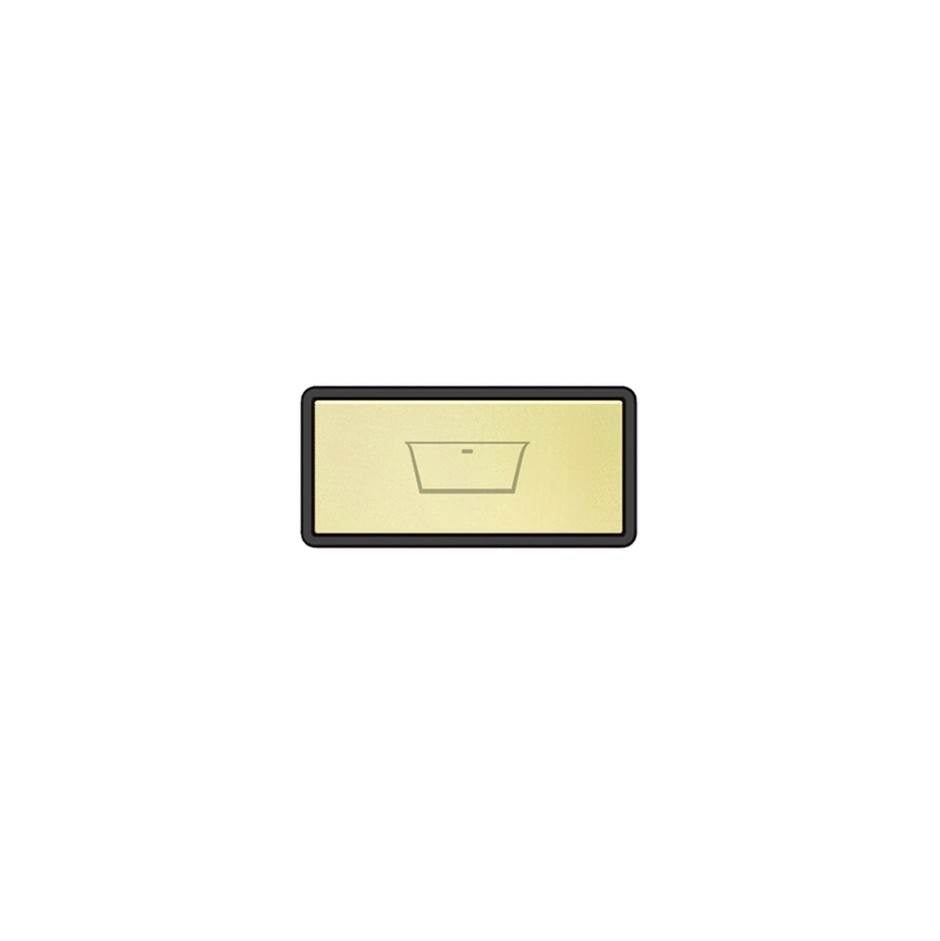Gessi 02779 Hi Fi Push-Botton Plate With Bathtub Symbol.