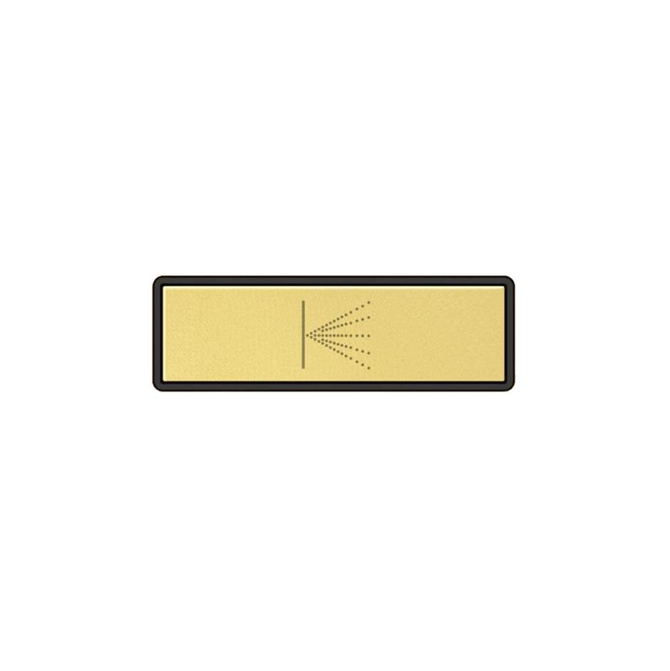 Gessi 02783 Hi Fi Push-Botton Plate With Wall-Mounted Atomizer Symbol. For Linear & Shelf Hi-Fi.