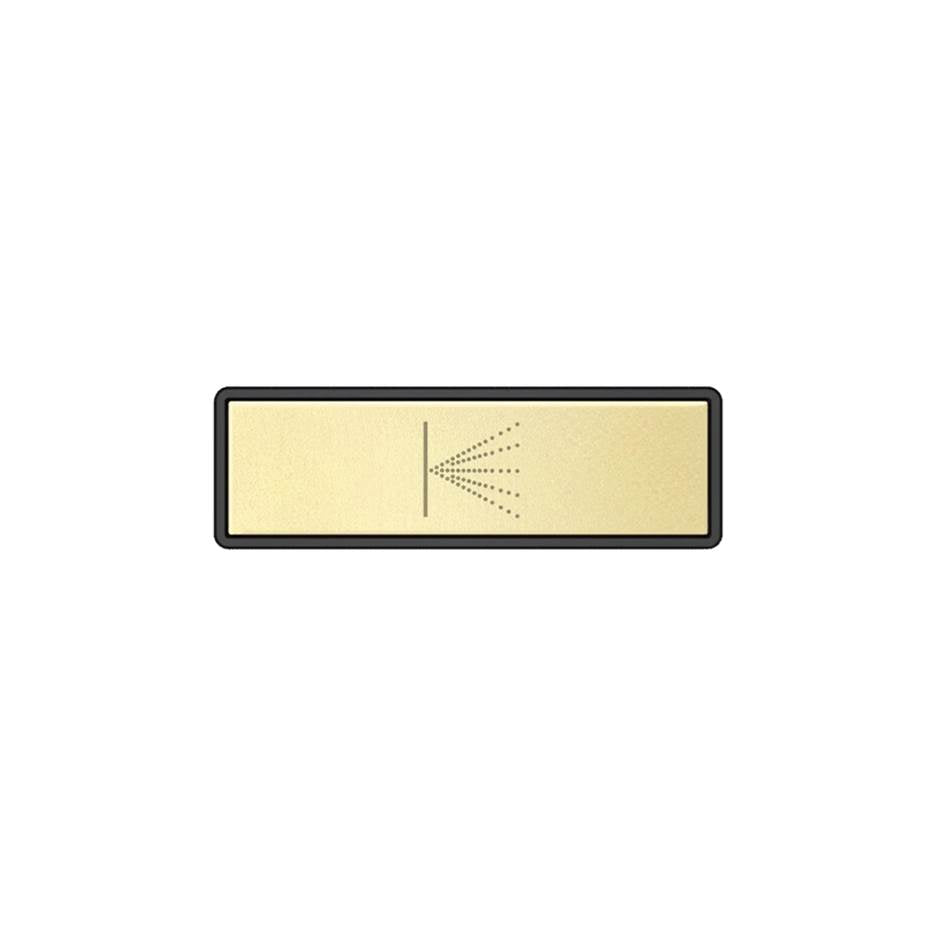 Gessi 02783 Hi Fi Push-Botton Plate With Wall-Mounted Atomizer Symbol. For Linear & Shelf Hi-Fi.