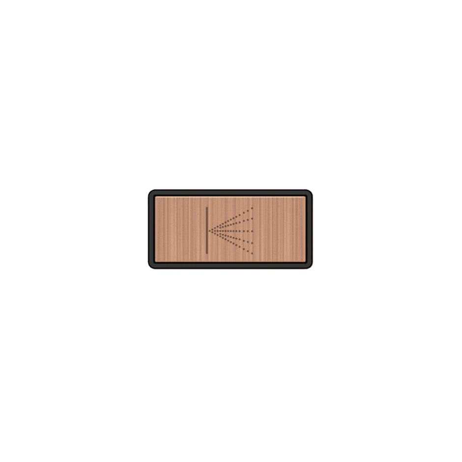 Gessi 02785 Hi Fi Push-Botton Plate With Wall-Mounted Atomizer Symbol.