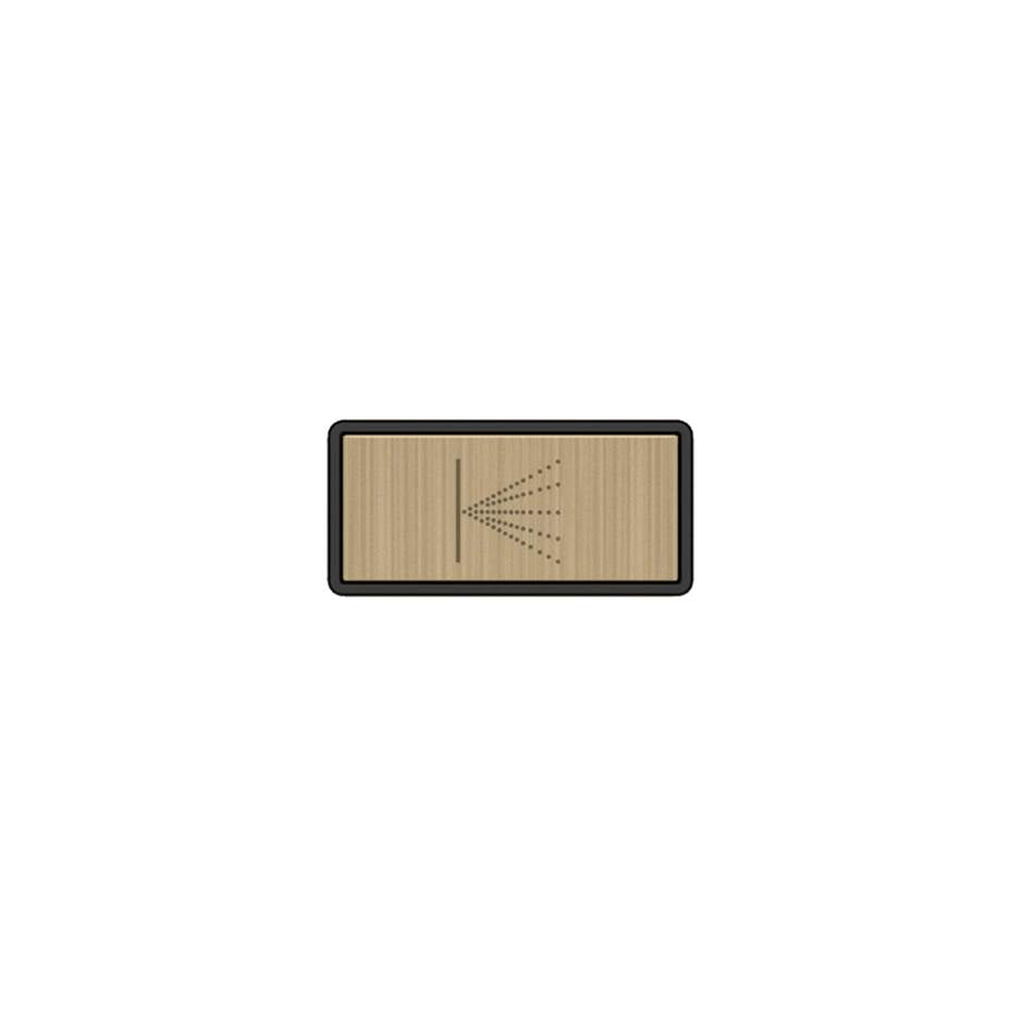 Gessi 02785 Hi Fi Push-Botton Plate With Wall-Mounted Atomizer Symbol.