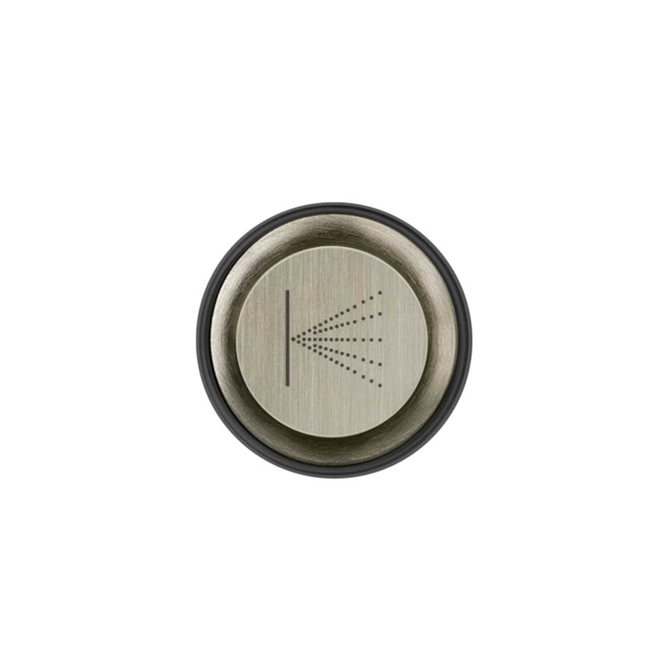 Gessi 03290 Hi Fi Push-Botton Plate With Wall-Mounted Atomizer Symbol. For Hi-Fi Eclectic.