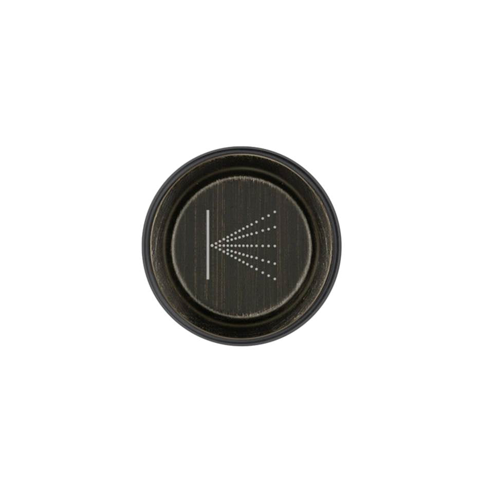 Gessi 03290 Hi Fi Push-Botton Plate With Wall-Mounted Atomizer Symbol. For Hi-Fi Eclectic.