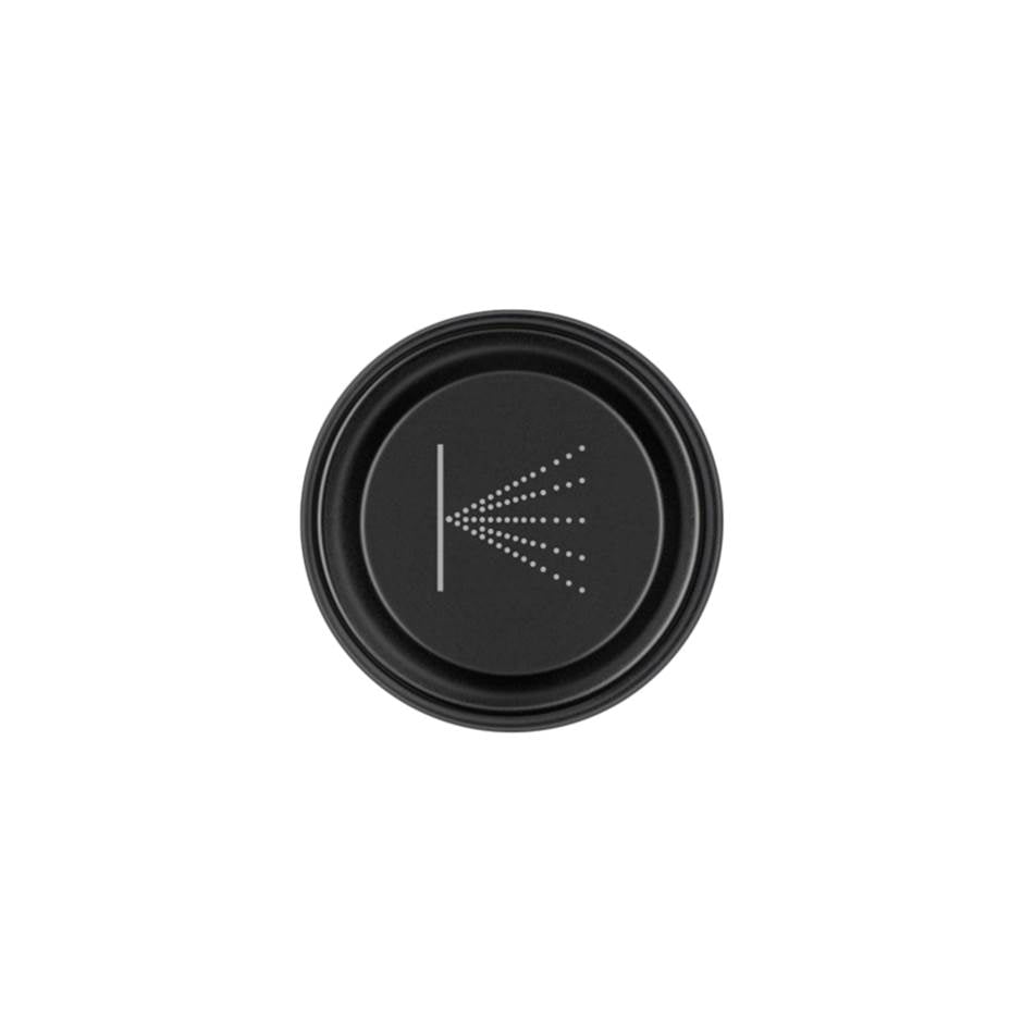 Gessi 03290 Hi Fi Push-Botton Plate With Wall-Mounted Atomizer Symbol. For Hi-Fi Eclectic.