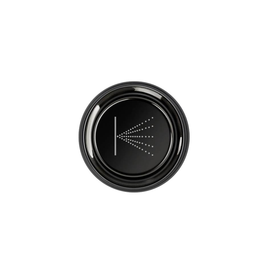 Gessi 03290 Hi Fi Push-Botton Plate With Wall-Mounted Atomizer Symbol. For Hi-Fi Eclectic.