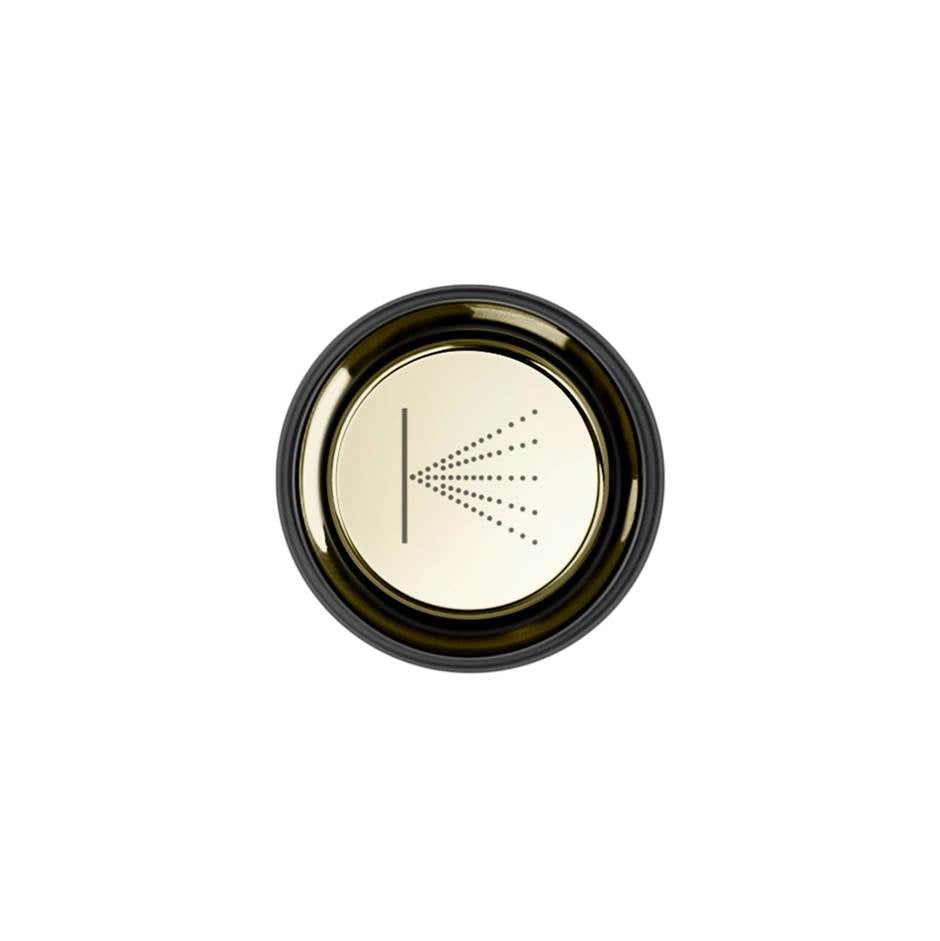 Gessi 03290 Hi Fi Push-Botton Plate With Wall-Mounted Atomizer Symbol. For Hi-Fi Eclectic.