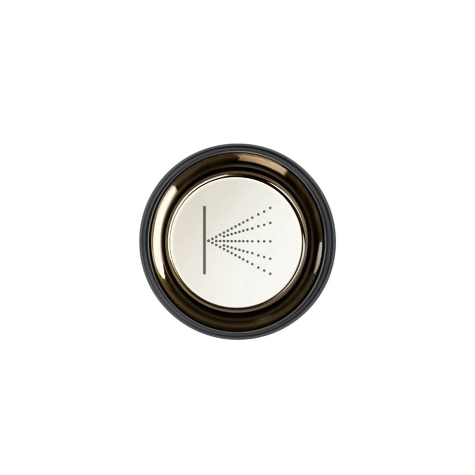 Gessi 03290 Hi Fi Push-Botton Plate With Wall-Mounted Atomizer Symbol. For Hi-Fi Eclectic.