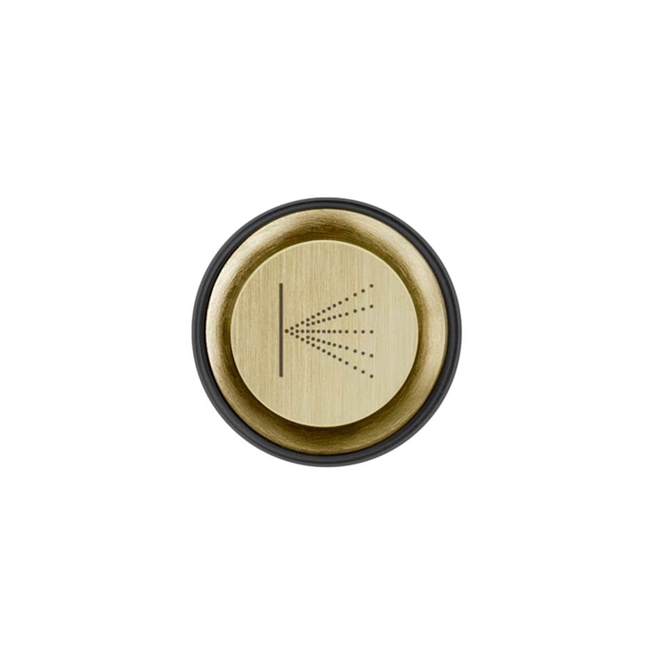 Gessi 03290 Hi Fi Push-Botton Plate With Wall-Mounted Atomizer Symbol. For Hi-Fi Eclectic.