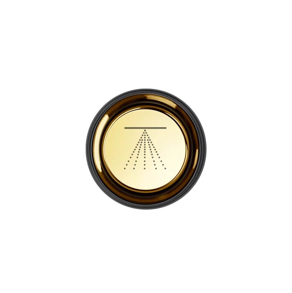 Gessi 03291 Hi Fi Push-Botton Plate With Atomizer Symbol. For Hi-Fi Eclectic.