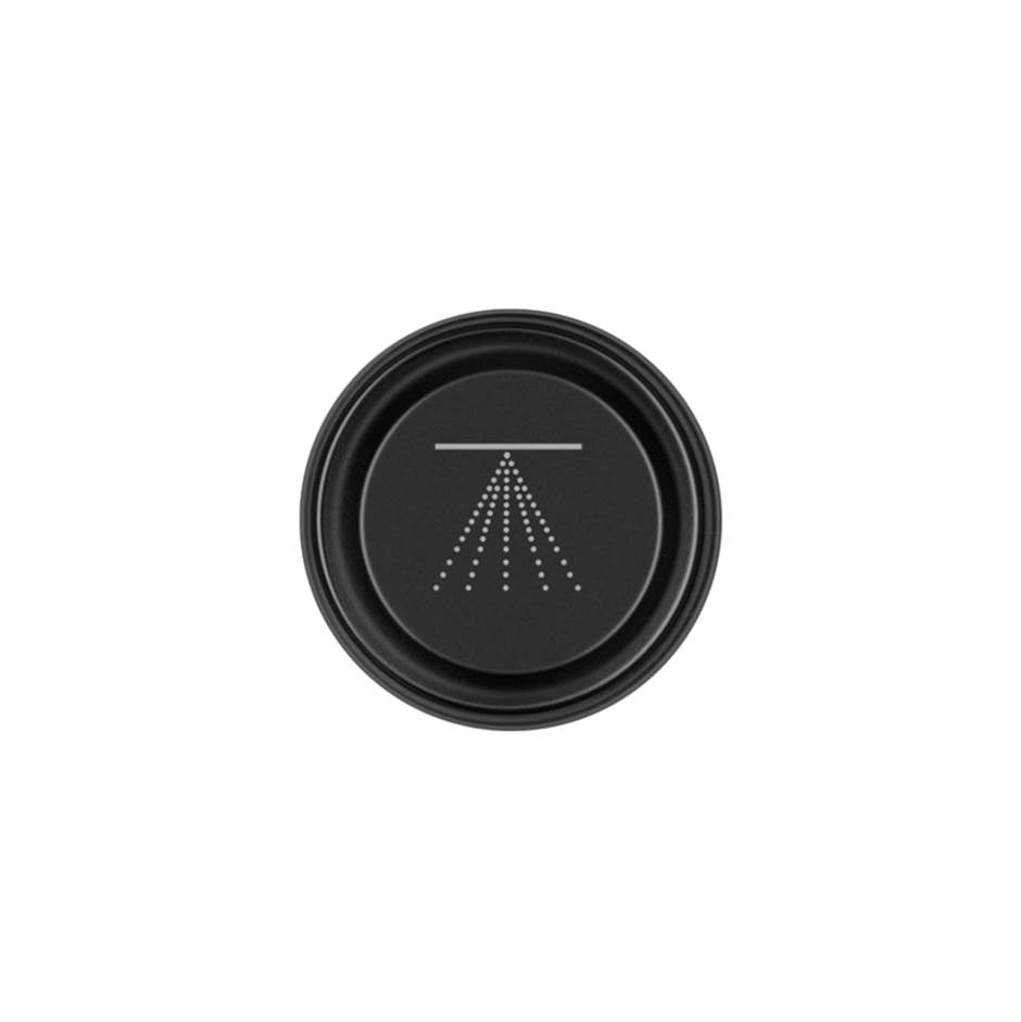 Gessi 03291 Hi Fi Push-Botton Plate With Atomizer Symbol. For Hi-Fi Eclectic.